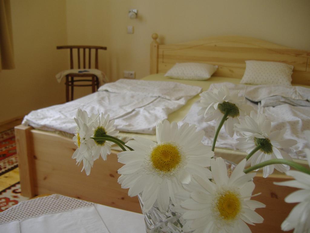 Örömvölgy Vendégház Bozsva Quarto foto